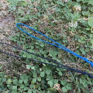 Alternative view of LaserPro Gold (dual line set)